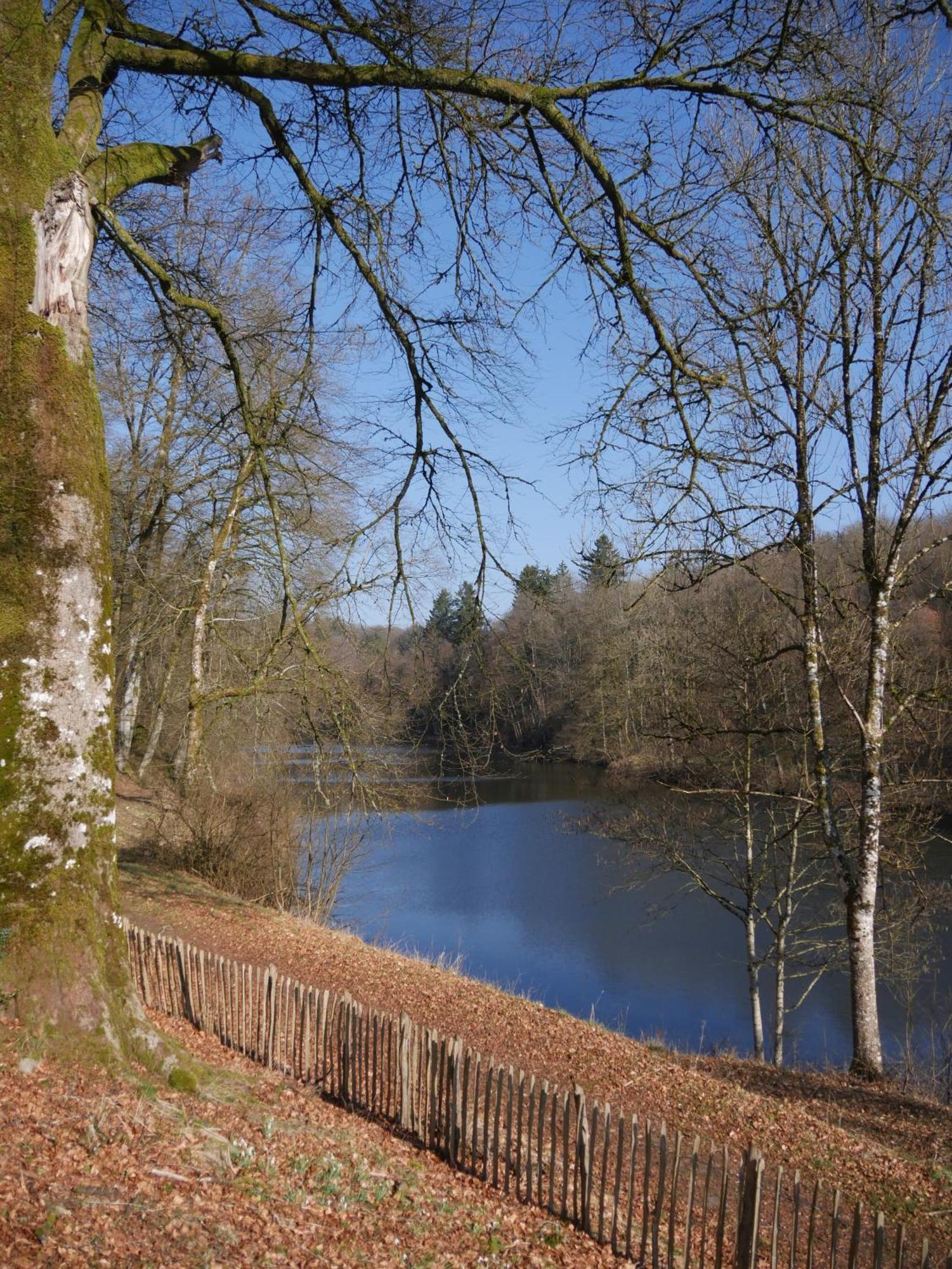 Chateau Du Pont D'Oye Habay-la-Neuve Екстериор снимка